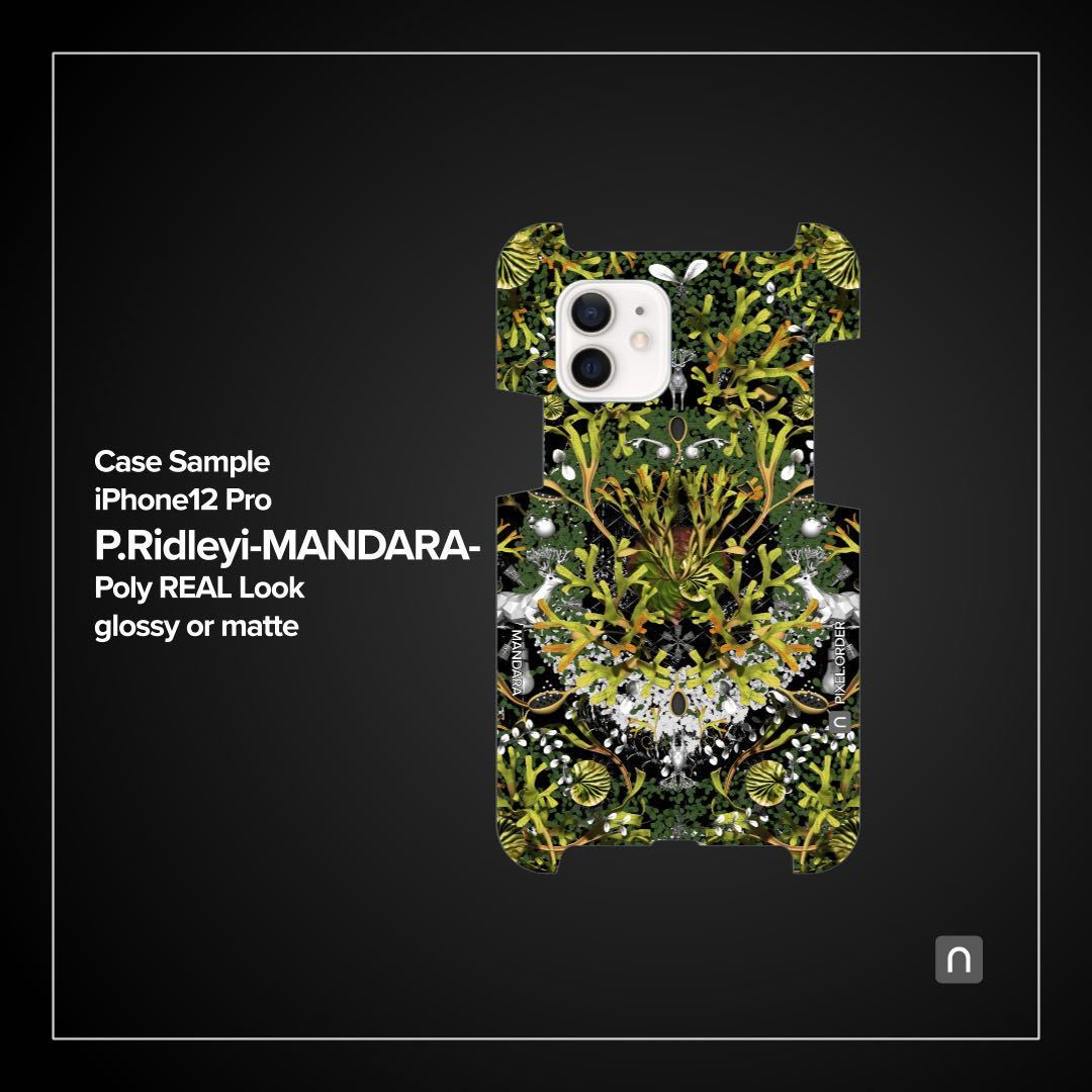 ビカクシダ リドレイiPhone12ケース【MANDARA】_画像3