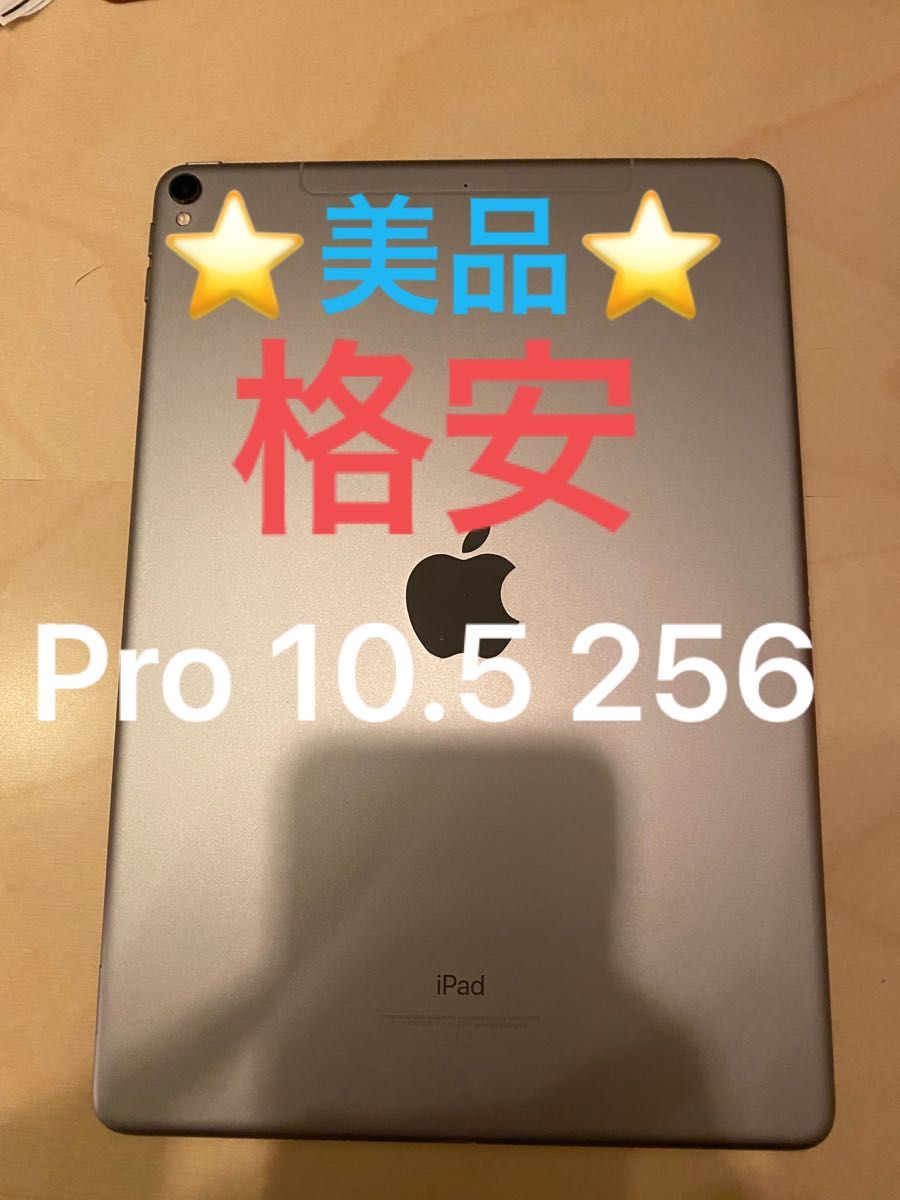 ☆外装美品☆iPad Pro 10.5 インチ　セルラー　256GB space gray