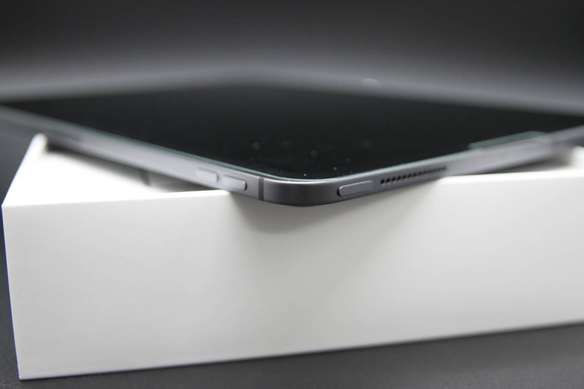 iPad Pro MU102J/A 256GB | transparencia.coronango.gob.mx