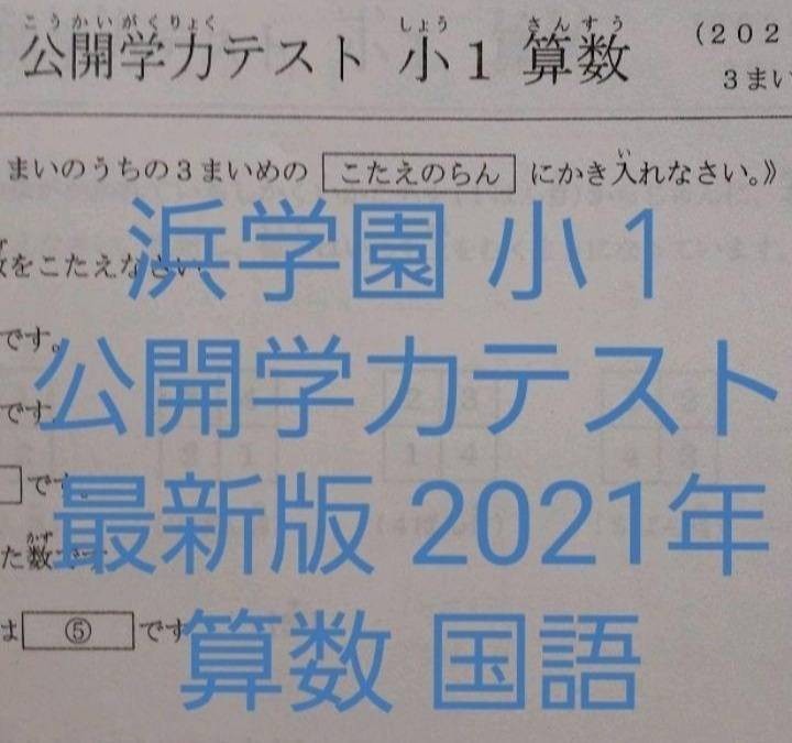 浜学園 公開学力テスト 小3 2020年度 算数 国語 1年分g 参考書 | www