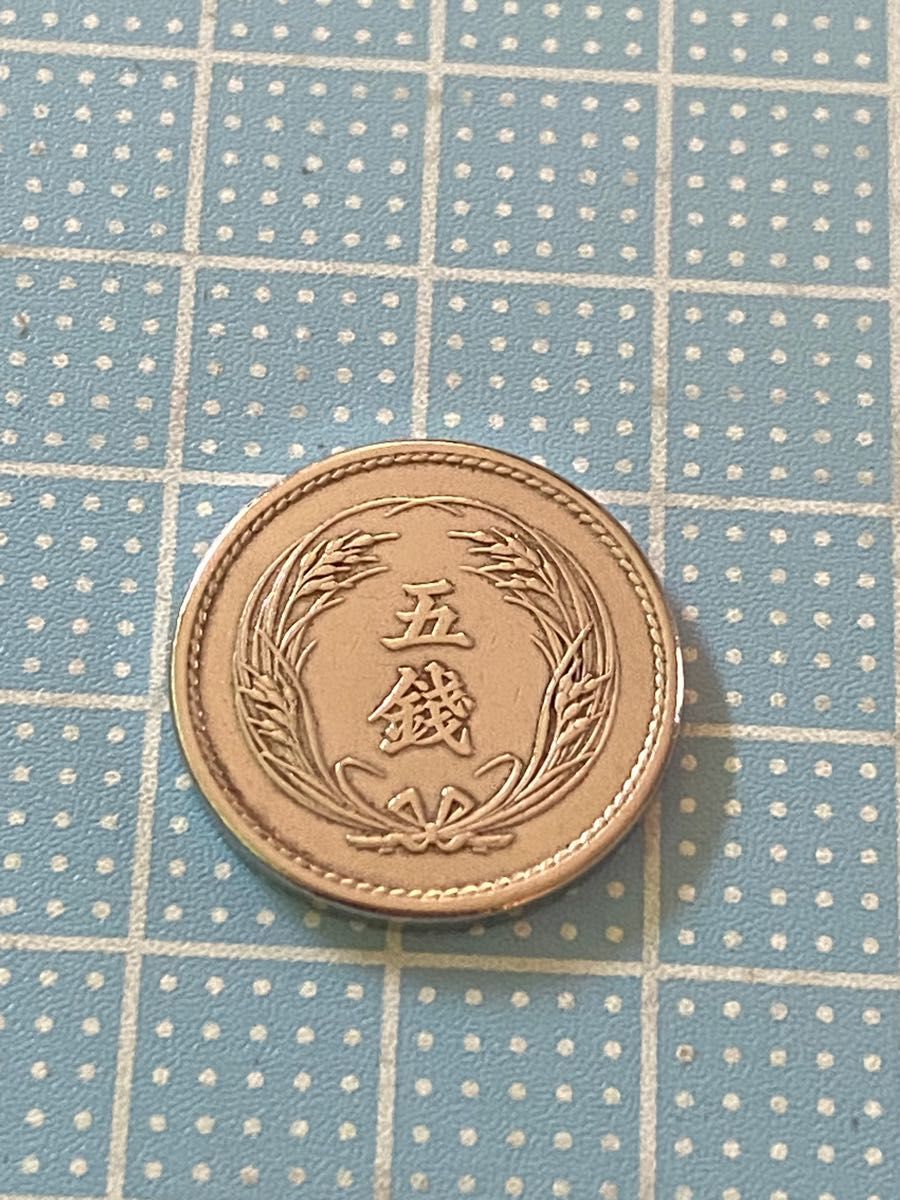 美品！大特年！明治３６年【稲５銭白銅貨】1903