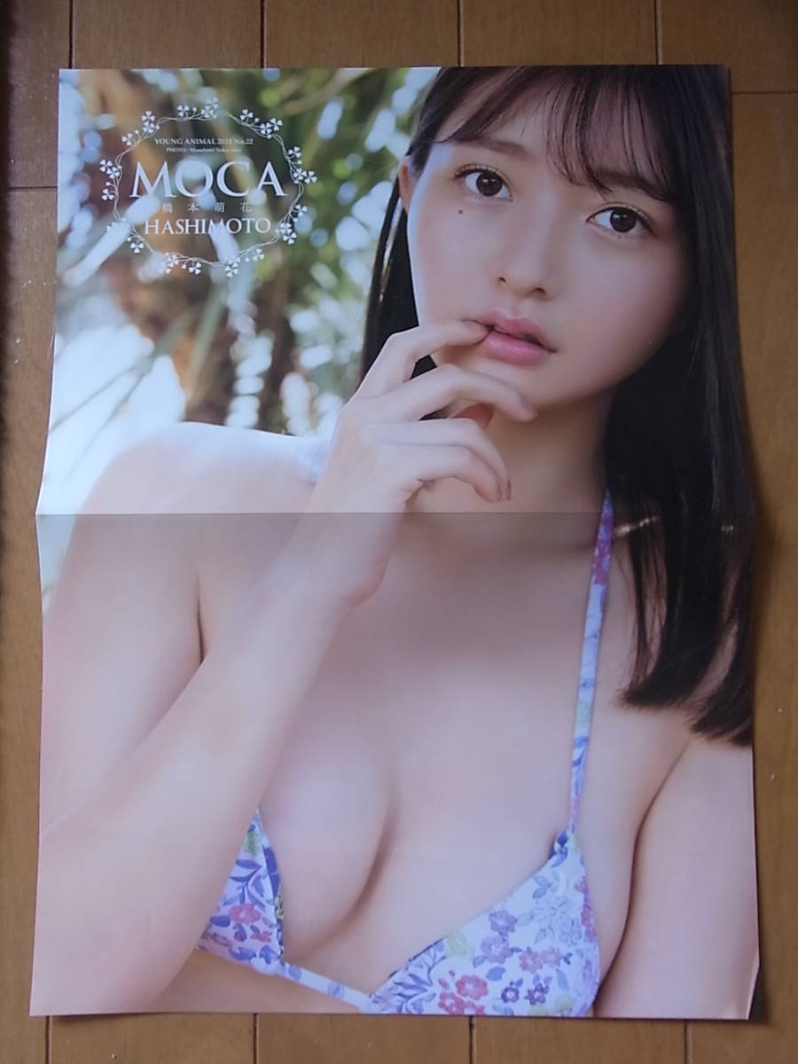 *< б/у > двусторонний ванна постер ванна постер Хасимото . цветок журнал дополнение стоимость доставки 140 иен 
