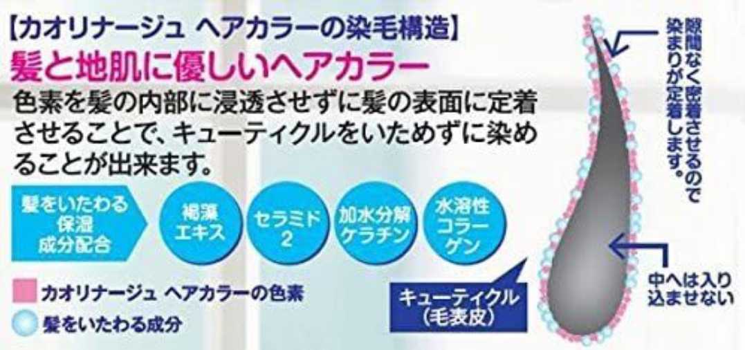 カオリナージュ ヘアケア泡タイプ 白髪染め5本の画像5