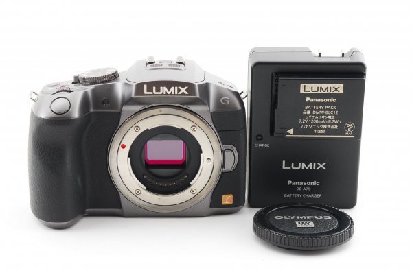 特別価格 Panasonic パナソニック ☆ 超美品 ADS1510☆ LUMIX ボディ