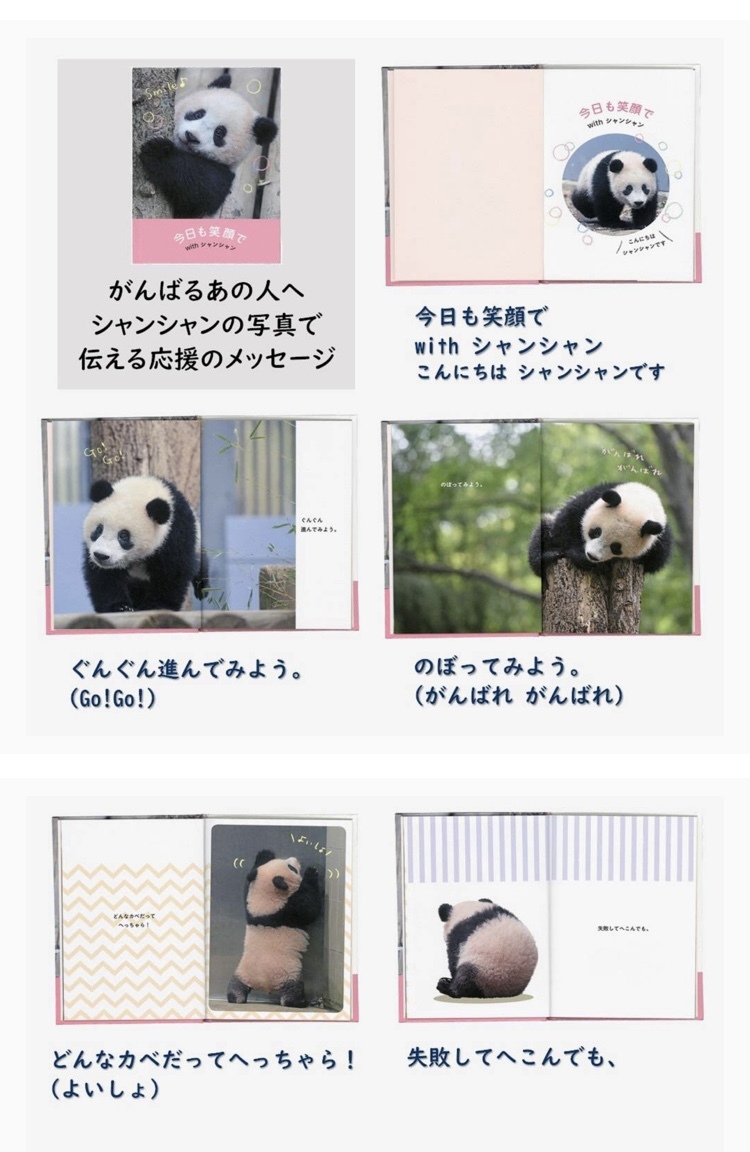  car n car n message book Gakken stay full * now day . laughing face .with car n car n envelope attaching * Ueno zoo Panda handling end goods .. unopened 