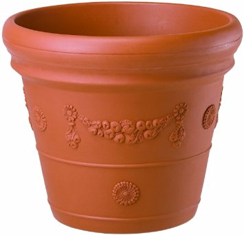 ! prompt decision large terra‐cotta manner red leaf cover 60 type plant pot * tree . leaf . flower vegetable ... plant nursery pot 