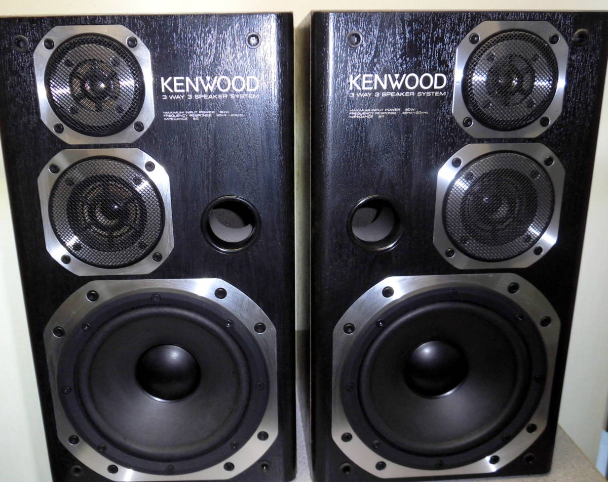 KENWOOD ROXY DG1 スピーカー ペア | www.schmetterlinghaus.at