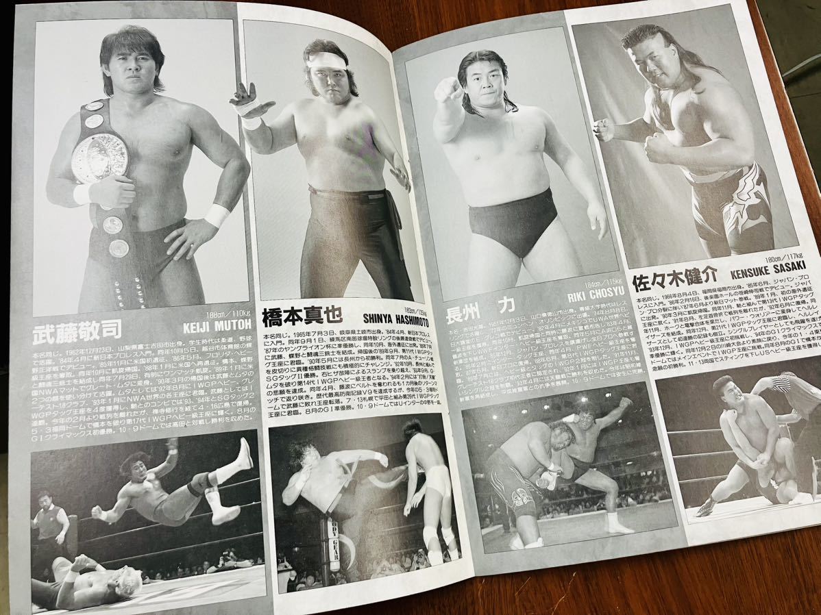 R7195 新日本プロレス　闘魂スペシャル Vol.111 バトルファイル95 Winter 1995 武藤敬司/天山広吉　蝶野/安生　長州/木村　パンフレット_画像5