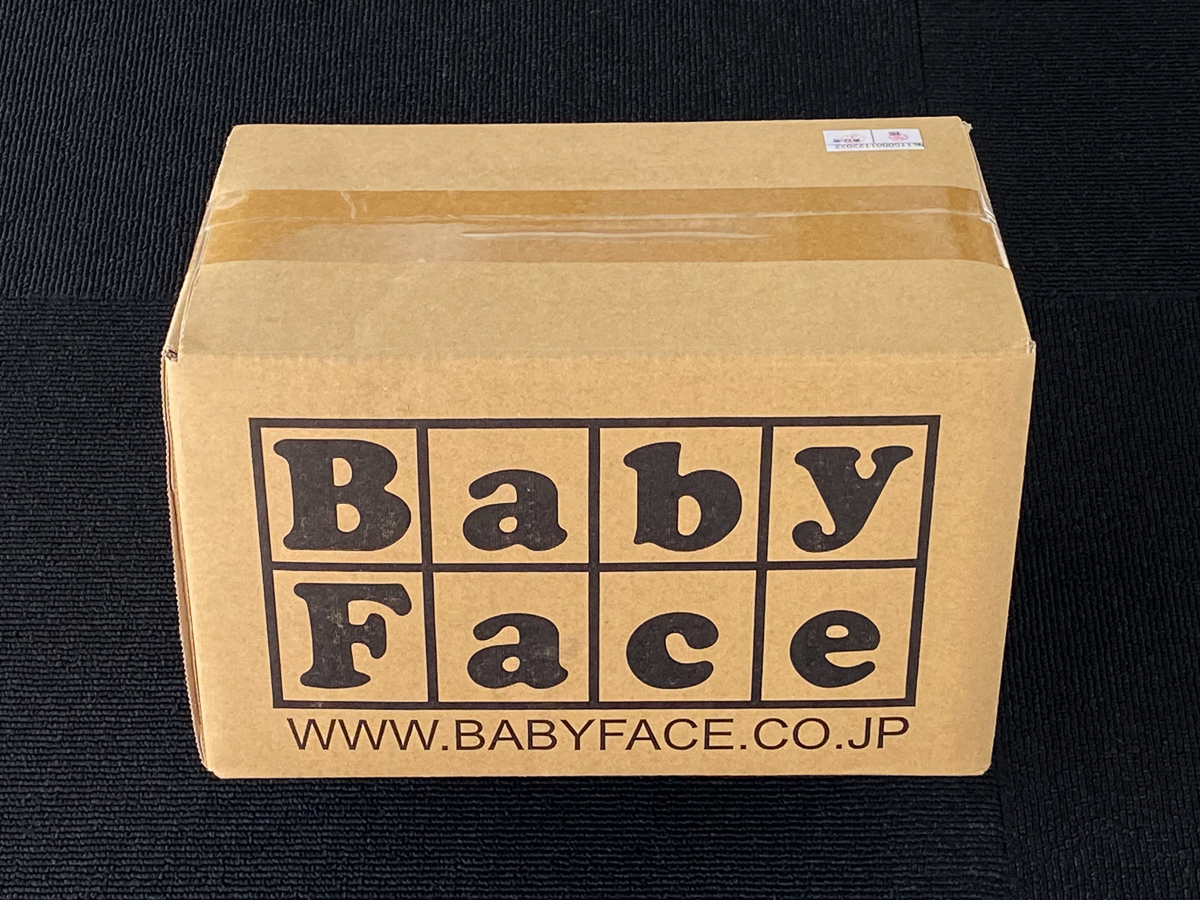 BabyFace ホーネット250/600/900 パフォーマンスステップキット