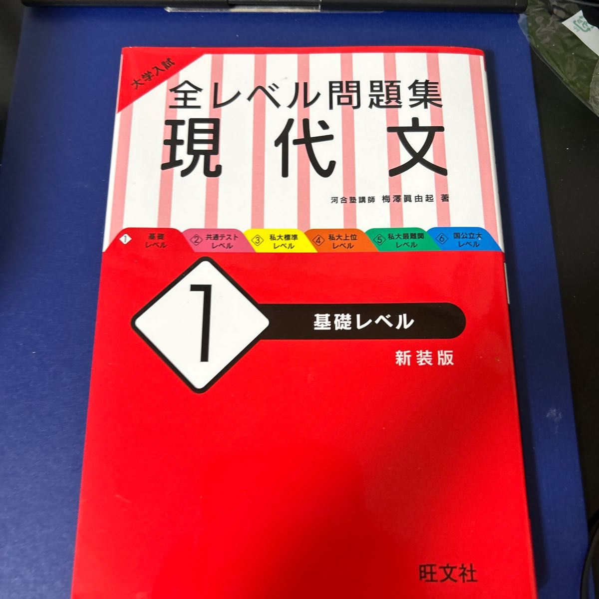 大学入試全レベル問題集現代文　１　新装版 （大学入試） 梅澤眞由起／著