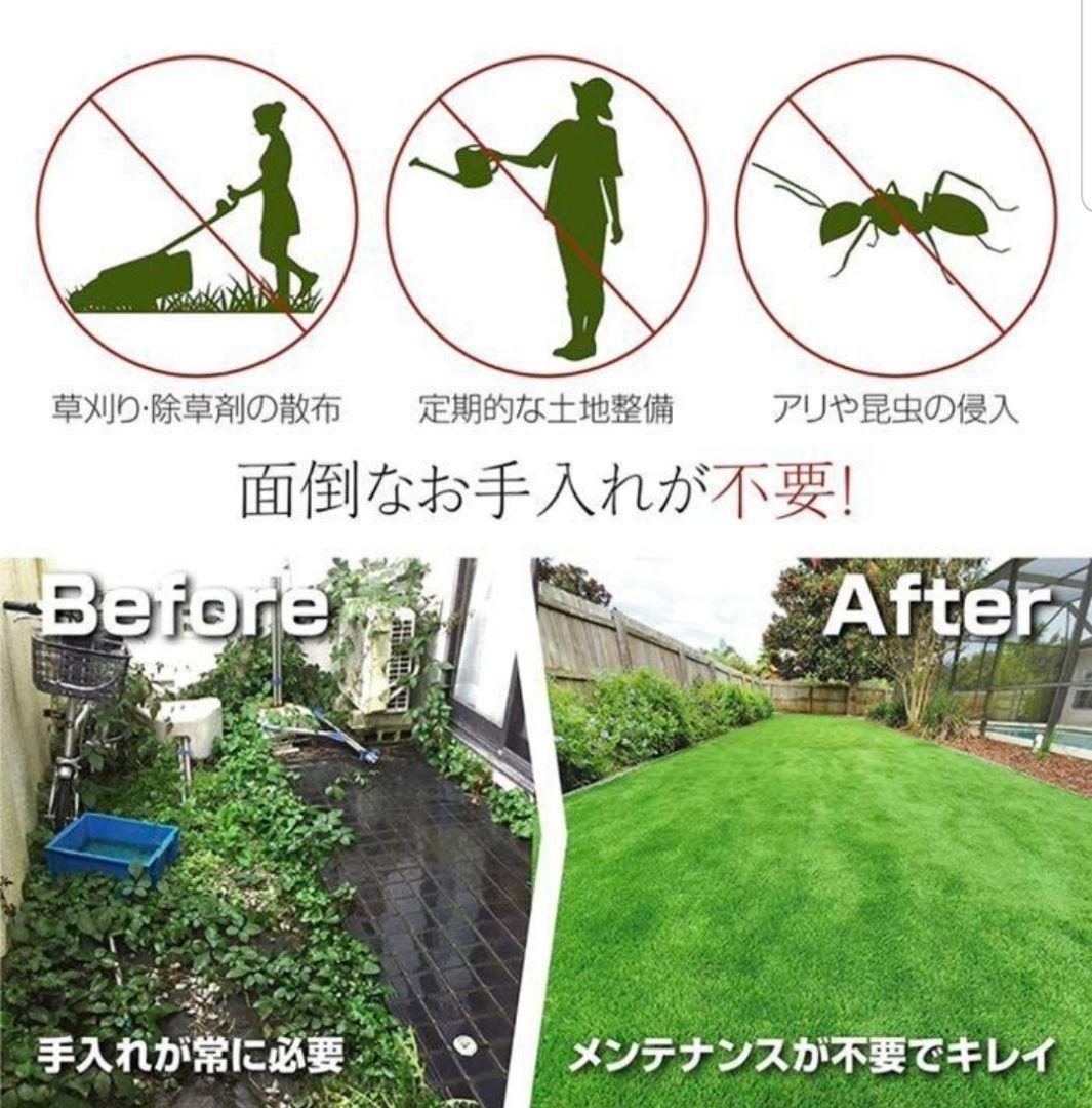 人工芝 ロール リアル 2m×25m 2本セット 芝丈35mm 固定ピン付 | salud