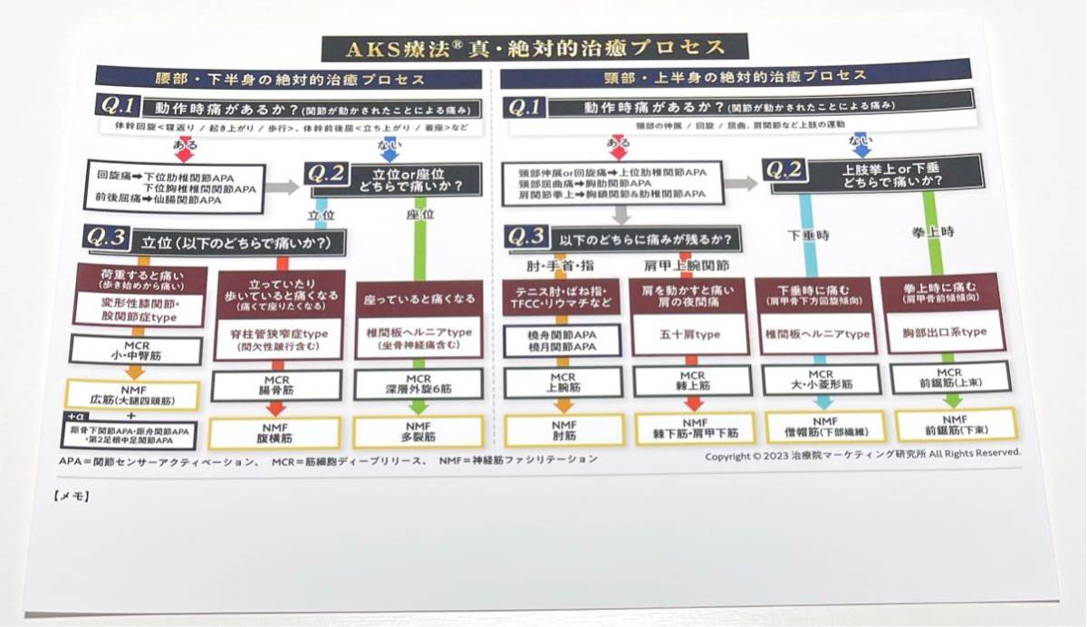 山内義弘 真・AKS療法(R)フルセット2千名限定プロセスシート付き