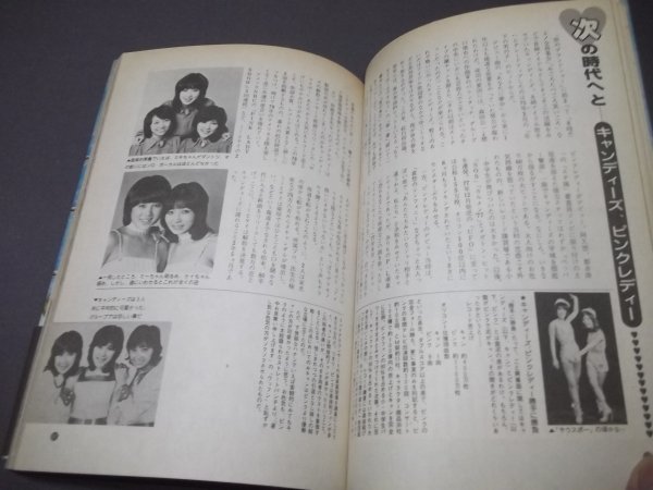 ●「ぼくらのヒーロー図鑑」 ’60～’70　アダルト・キッズ　アイドル歌手のすべて他_画像5
