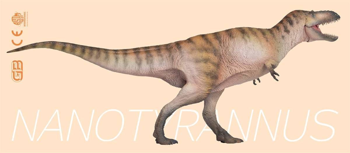 PNSO 成長シリーズ 49 ナノティラヌス ティラノサウルス類 恐竜 動物 リアル フィギュア PVC おもちゃ恐竜好き 誕生日 プレゼント 17cm級_画像5