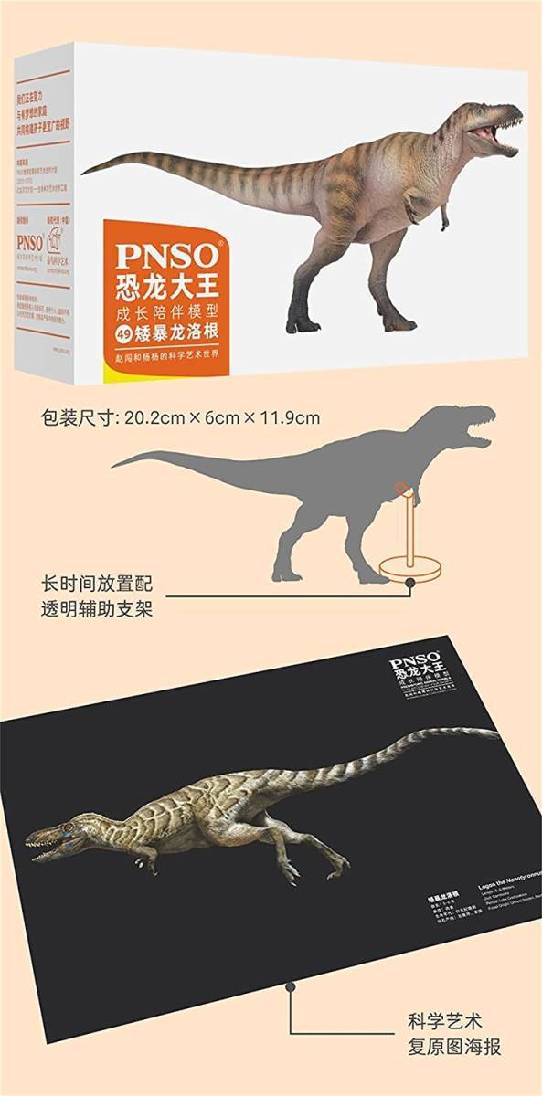 PNSO 成長シリーズ 49 ナノティラヌス ティラノサウルス類 恐竜 動物 リアル フィギュア PVC おもちゃ恐竜好き 誕生日 プレゼント 17cm級_画像8