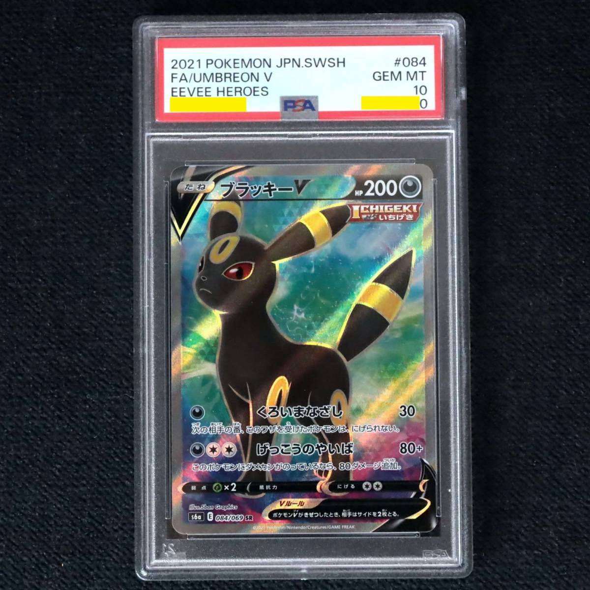 2024公式店舗 PSA10 ブラッキーV ポッチャマ リザードン ピカチュウ