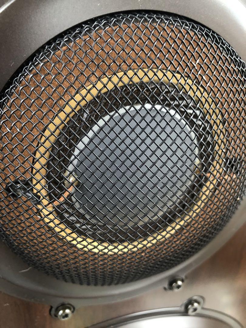 DIATONE スピーカーシステム DS-1000ZA 2台セット | normanhubbard.com