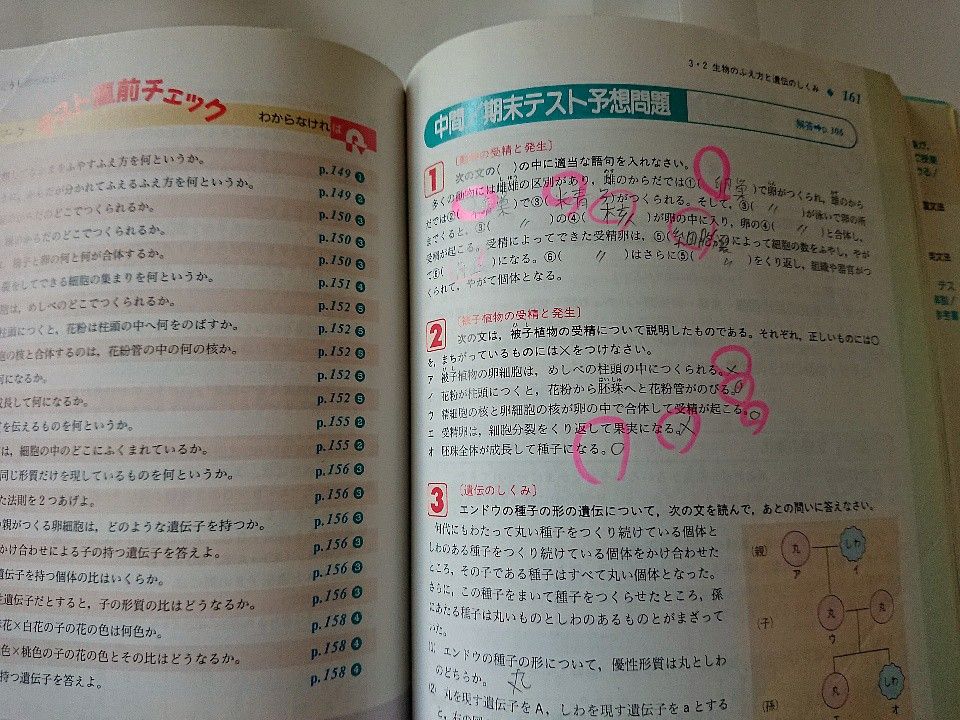 ◇くわしい理科 1～3年 中学 学習参考書 3冊セット 文英堂 シグマベスト◇