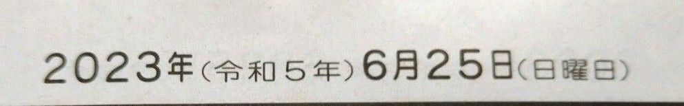 長渕剛　ライブ記事　1枚　東京中日スポーツ　6月25日日曜日