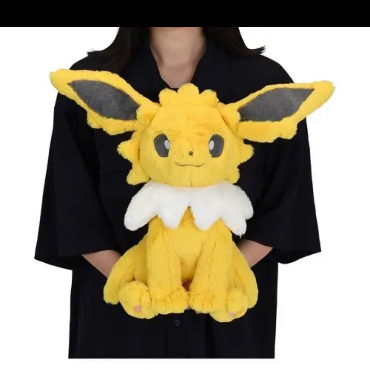 ポケモンセンター ふわふわ抱きぬいぐるみ サンダース|Yahoo ポケモンセンター ふわふわ抱きぬいぐるみ サンダース|Yahoo