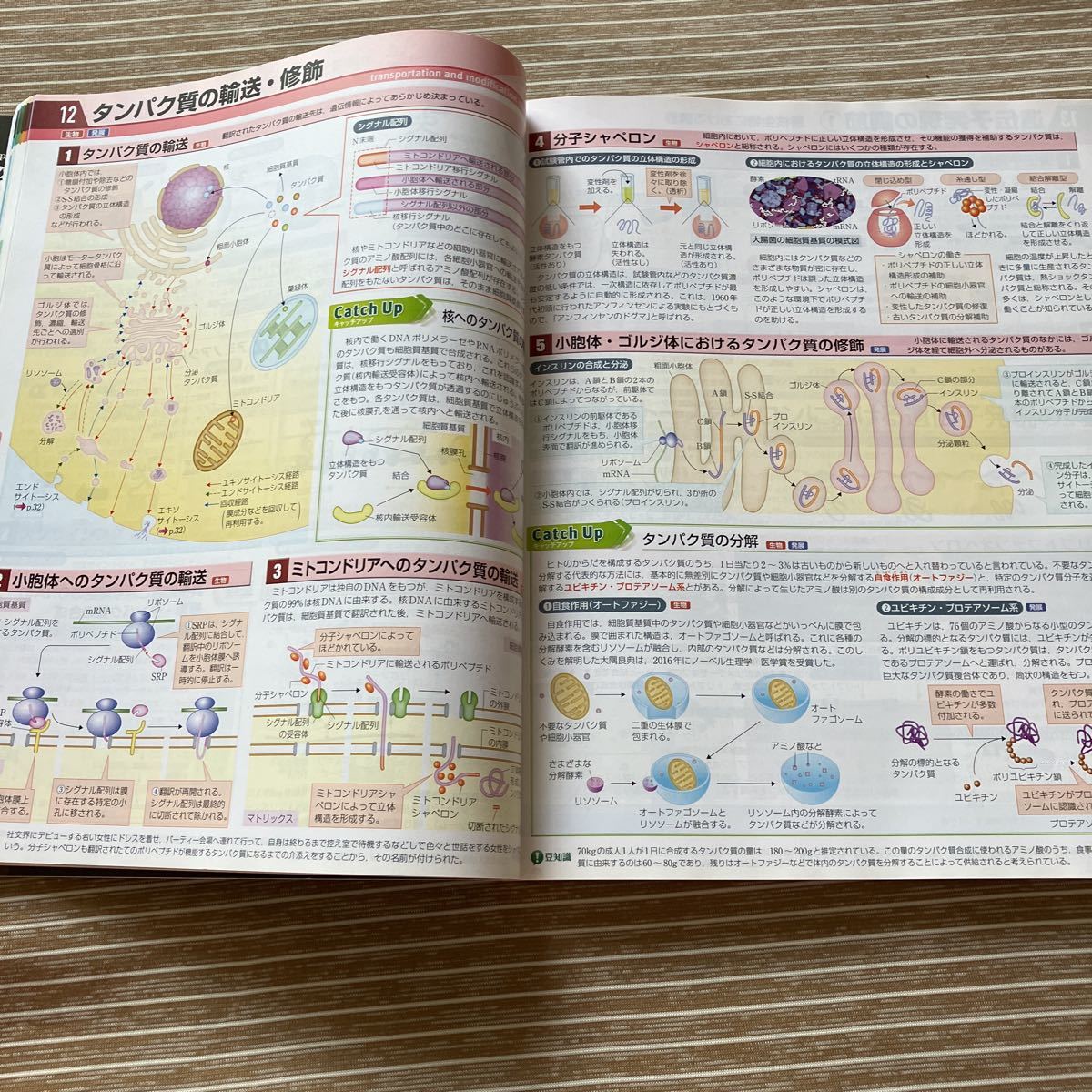 item_image_6