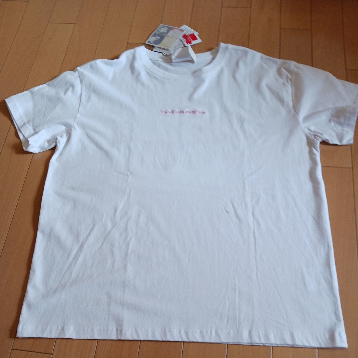 レディース　Ｔシャツ　サイズ大きめ３Ｌ～４Ｌ_画像1