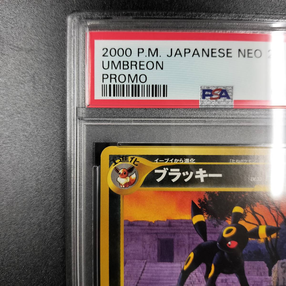 1円スタート】ブラッキー PSA9 neo プレミアムファイル2 プロモ