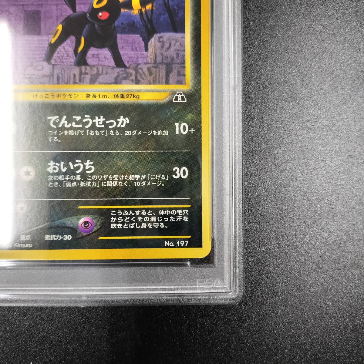 1円スタート】ブラッキー PSA9 neo プレミアムファイル2 プロモ