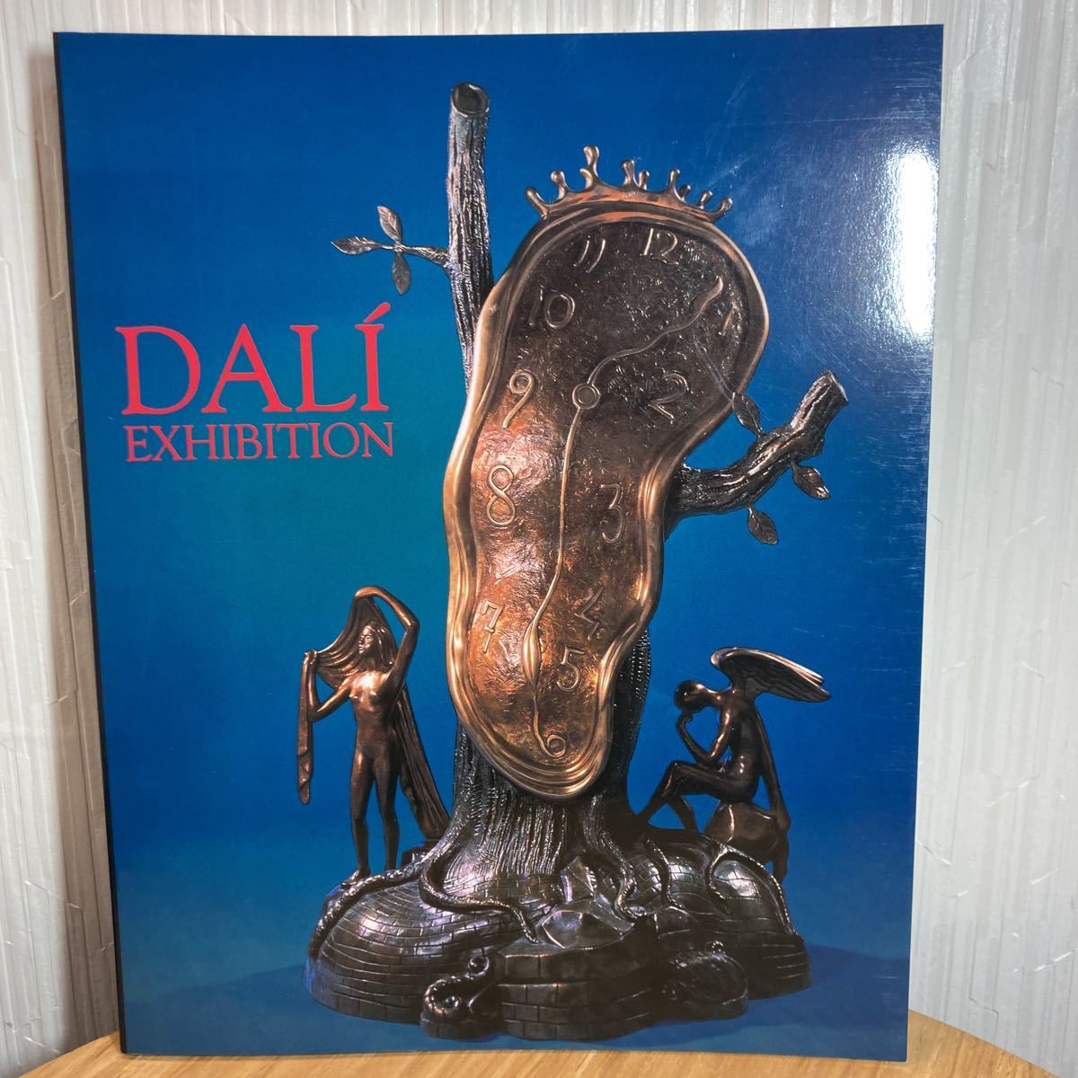 ダリ展 図録 DALI exhibition 1992年 当時物 入場券付 NHK主催 三越 千足伸行 スペイン画家 西洋美術 美術本 版画 油絵 研究文献 美術学部の画像1