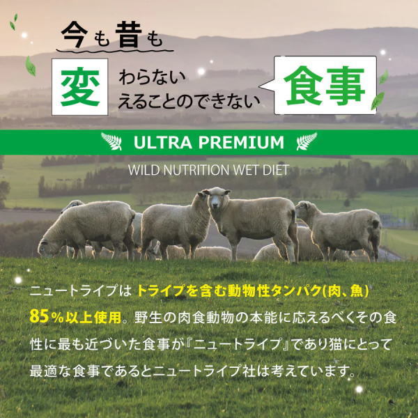 送料無料 「ニュートライプ PURE ピュア ビーフ＆グリーントライプ 95g 24個」 NUT3786 8885003134158ドッグフード 缶詰_画像3