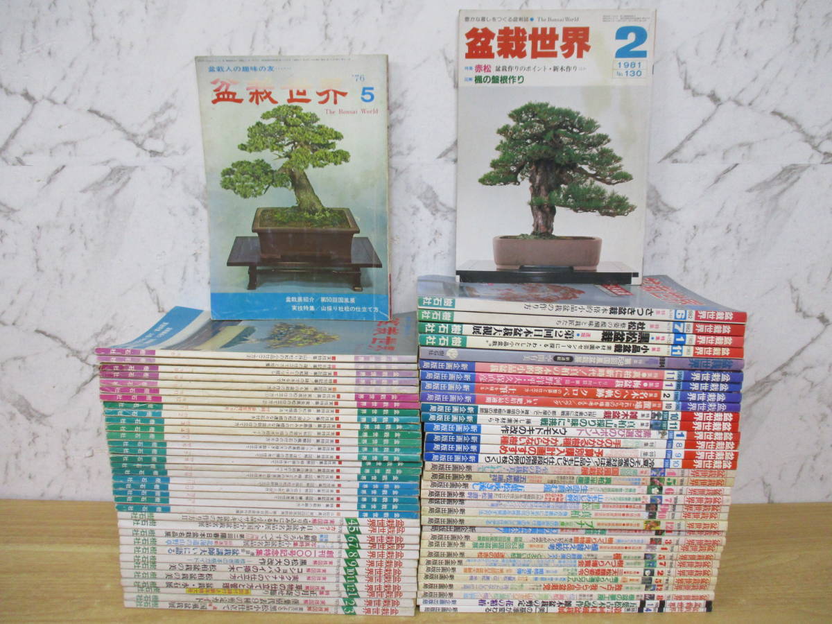 国内発送】 g7-4（盆栽世界）69冊 1976年～2001年 黒松 杜松 五葉松 樹