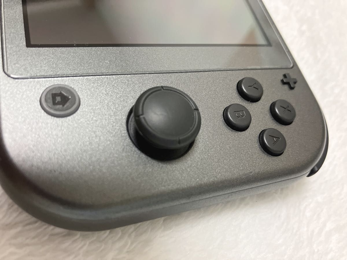 Nintendo Switch Lite ディアルガ パルキア 本体 充電器あり