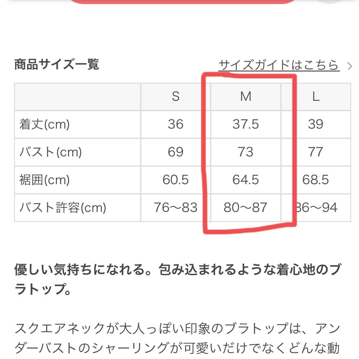 LAVA ラバ ヨガウェア ヨガ ホットヨガ スポーツウェア 未使用 LAVA ラバ ヨガウェア ヨガ ホットヨガ スポーツウェア 未使用