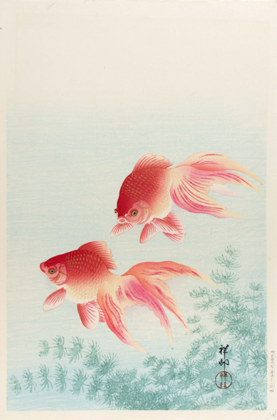 小原古邨　「金魚」　40.8×27ｃｍ　複製　Ohara Koson ◆新版画　川瀬 巴水　吉田博_画像1