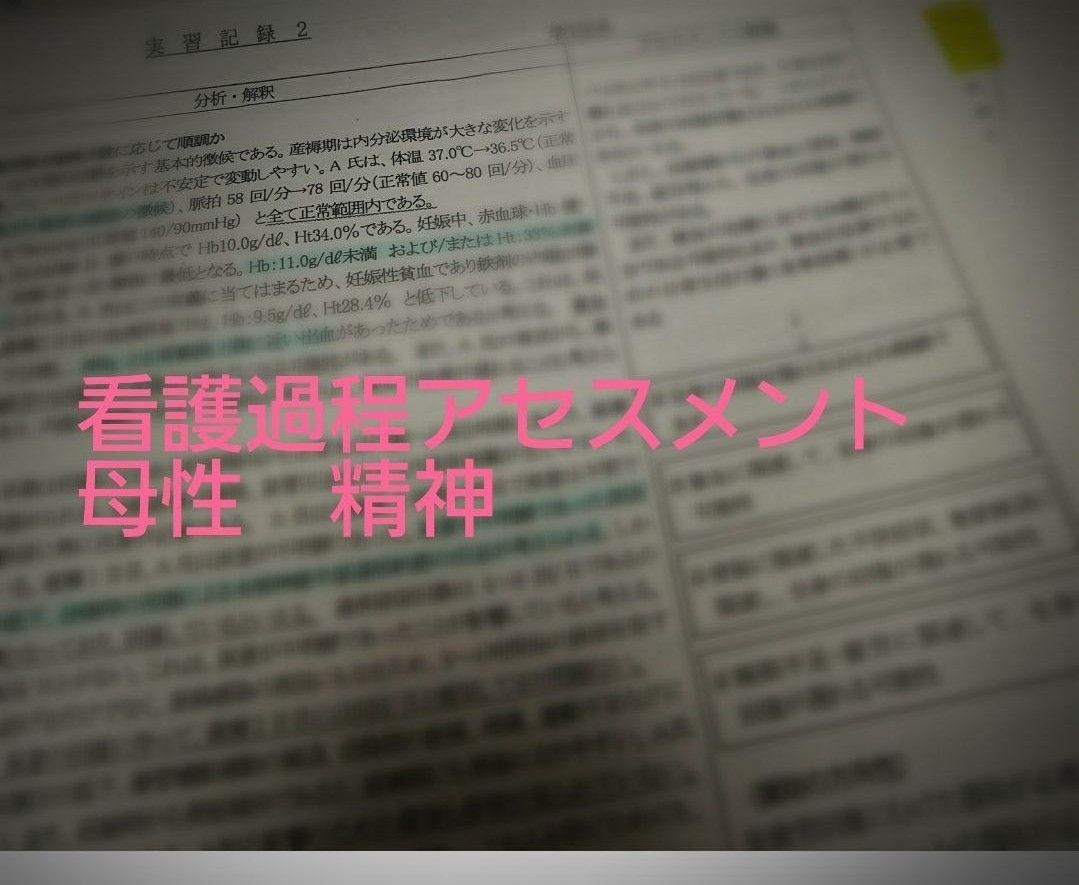 看護過程 看護実習 母性アセスメント 看護計画 看護学生 精神アセスメント-