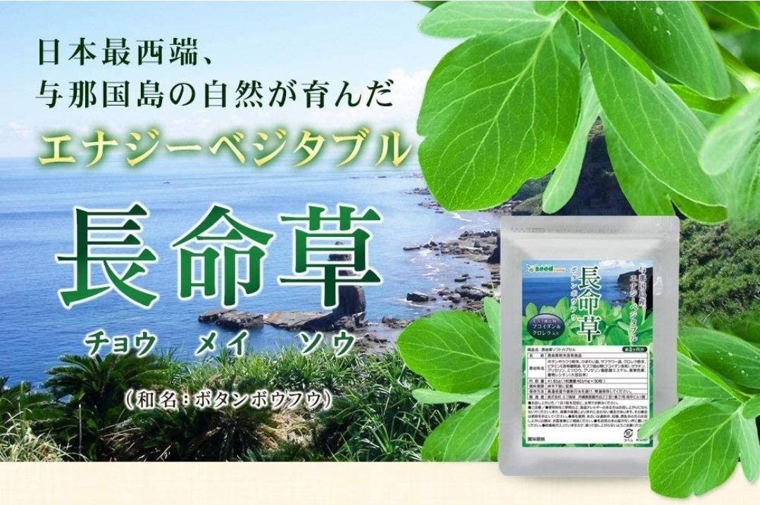 送料無料 新品 長命草 沖縄産の長命草使用 シードコムス 約3ヶ月