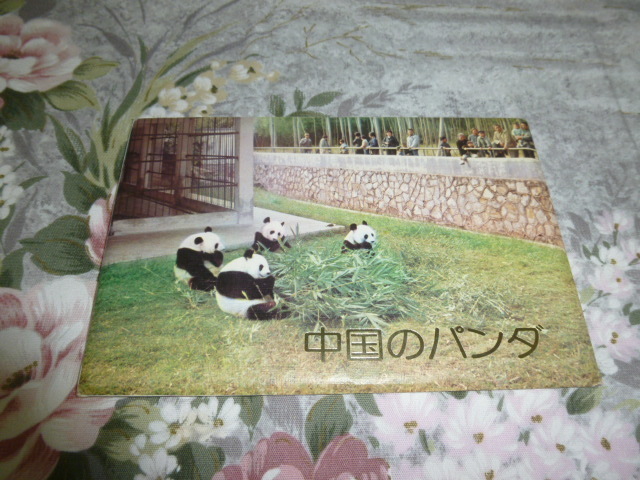 送料込み! 広州動物園 中国のパンダ　ポストカード　セット(6枚組)　1977年　(絵葉書・絵はがき・熊猫_画像3