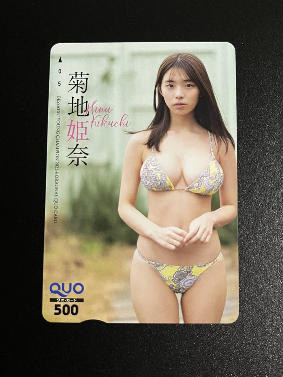 マーボーちゃん様専用 菊地姫奈 別冊ヤングチャンピオン 当選品 | europneumaq.com
