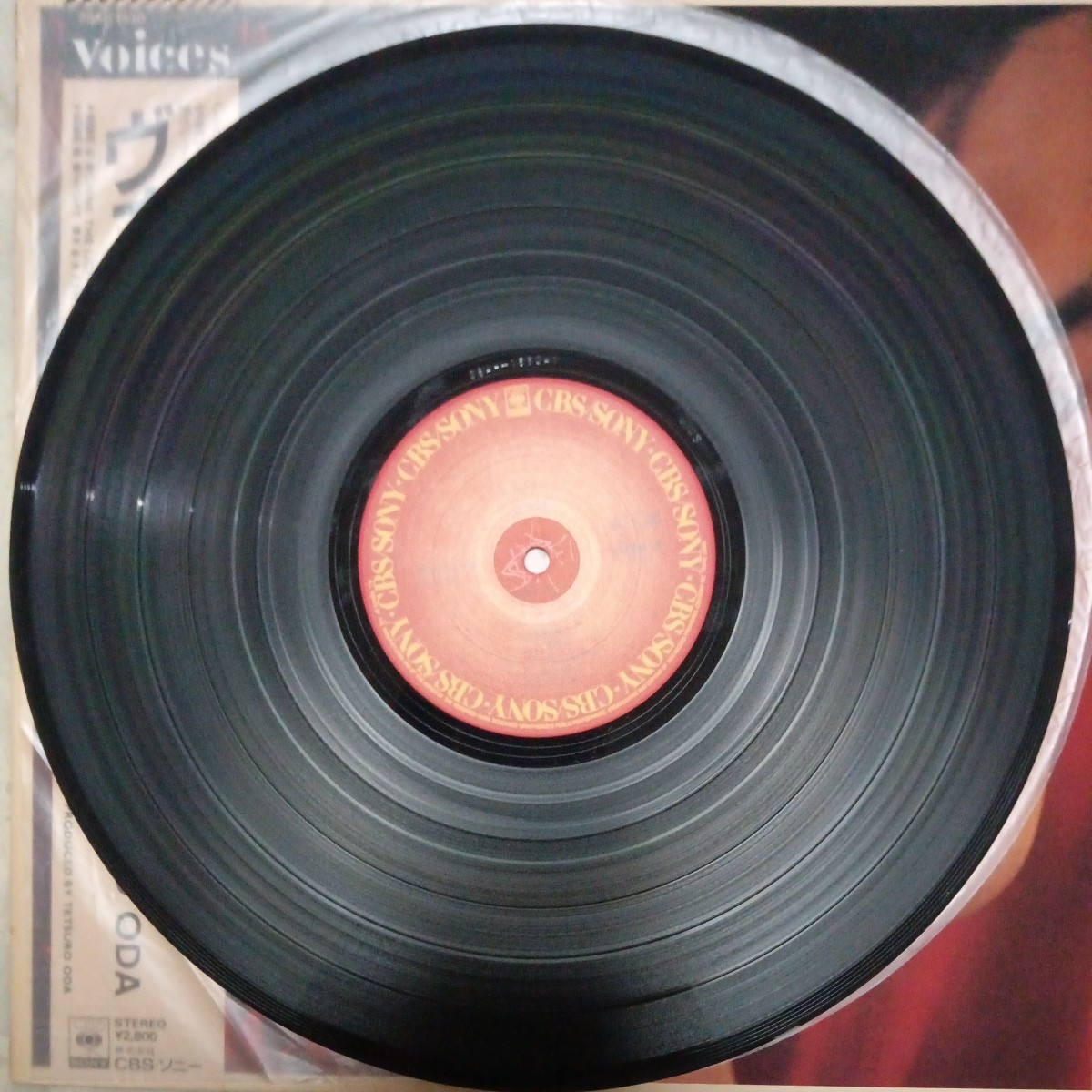 【LP】織田哲郎/ヴォイス 〈貴重な非売品プロモ盤〉※盤面新品同様　品番）28AH−1530 　帯付き。_画像7