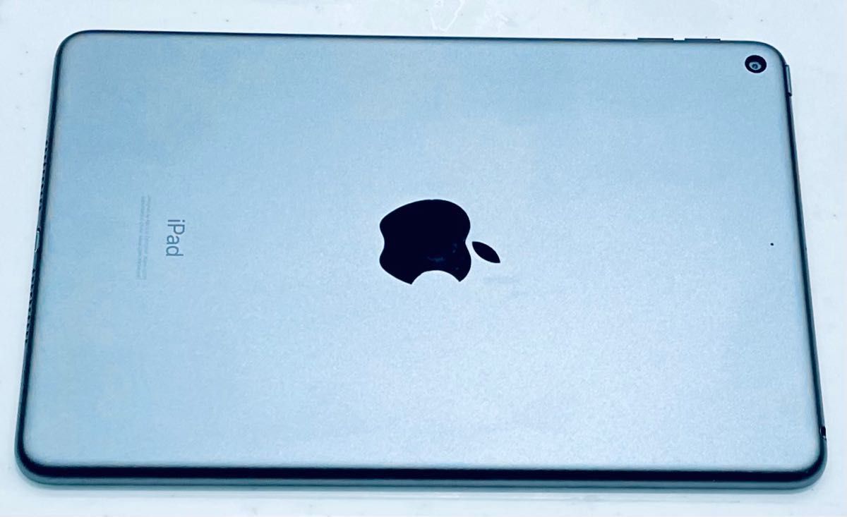 iOS最新16 完動品 iPad mini5 本体 ipad ミニ apple タブレット iOS最新16 完動品 iPad mini5 本体 ipad ミニ apple タブレット