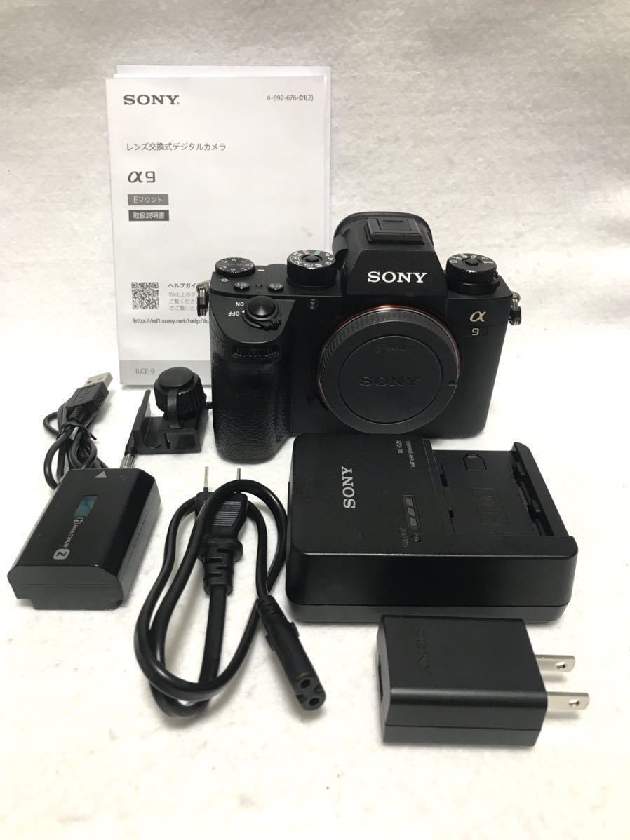注目ショップ・ブランドのギフト シャッター数 少 ソニー SONY α9 ILCE-9 一眼 カメラ ソニー 注目ショップ・ブランドのギフト シャッター数 少 ソニー SONY α9 ILCE-9 一眼 カメラ ソニー