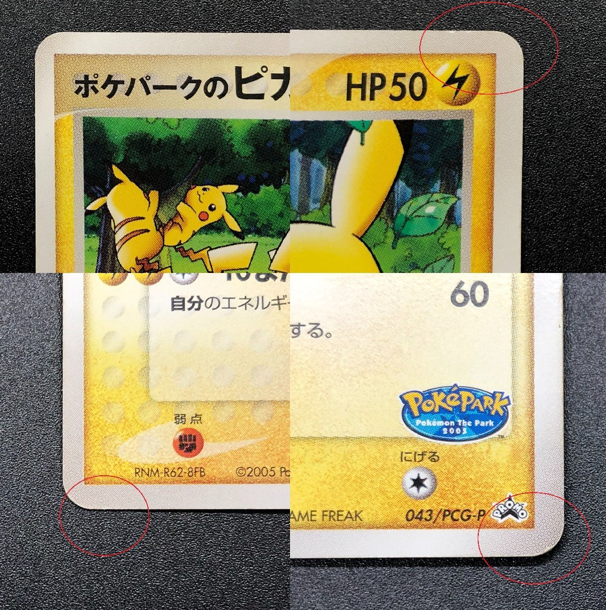 1円~ ポケパークのピカチュウ 043/PCG-P ポケモンカードゲーム ポケカ