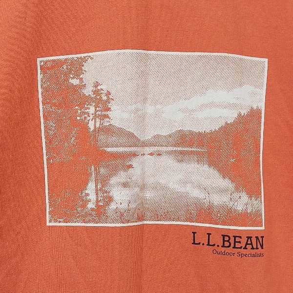 ＬＬＢｅａｎ　エルエルビーン　半袖Ｔシャツ　ビッグプリント　デカロゴ　ネイチャー　自然　湖　ＬＡＫＥ　ロゴＴ　人気　一点もの_画像3