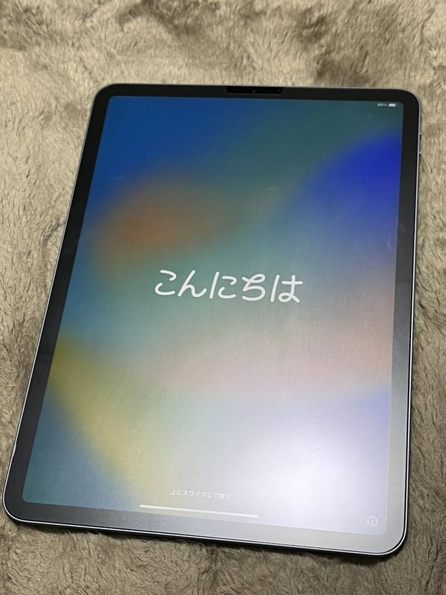 大勧め Apple iPadPro11インチ第二世代 256GB iPad本体