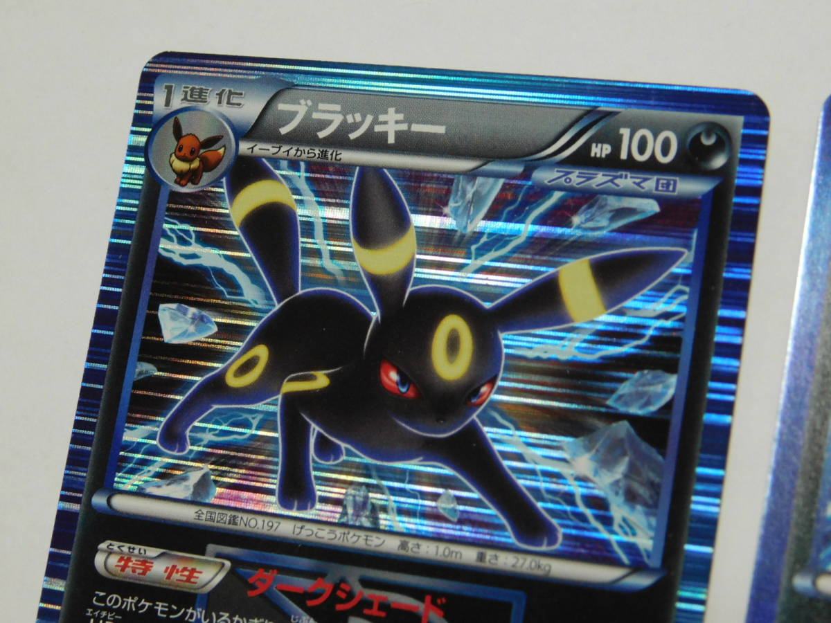 1ED☆ブラッキー☆BW8☆031/051☆ポケモンカード☆704E | www
