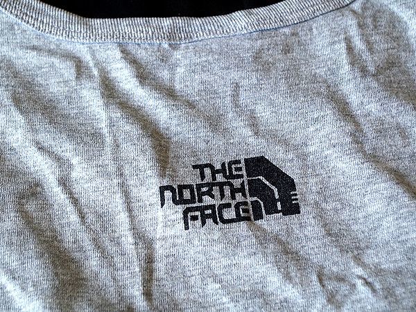 美品 希少 !! THE NORTH FACE TEK TEE タンクトップ ゼブラ柄 Lサイズ グレー_画像4