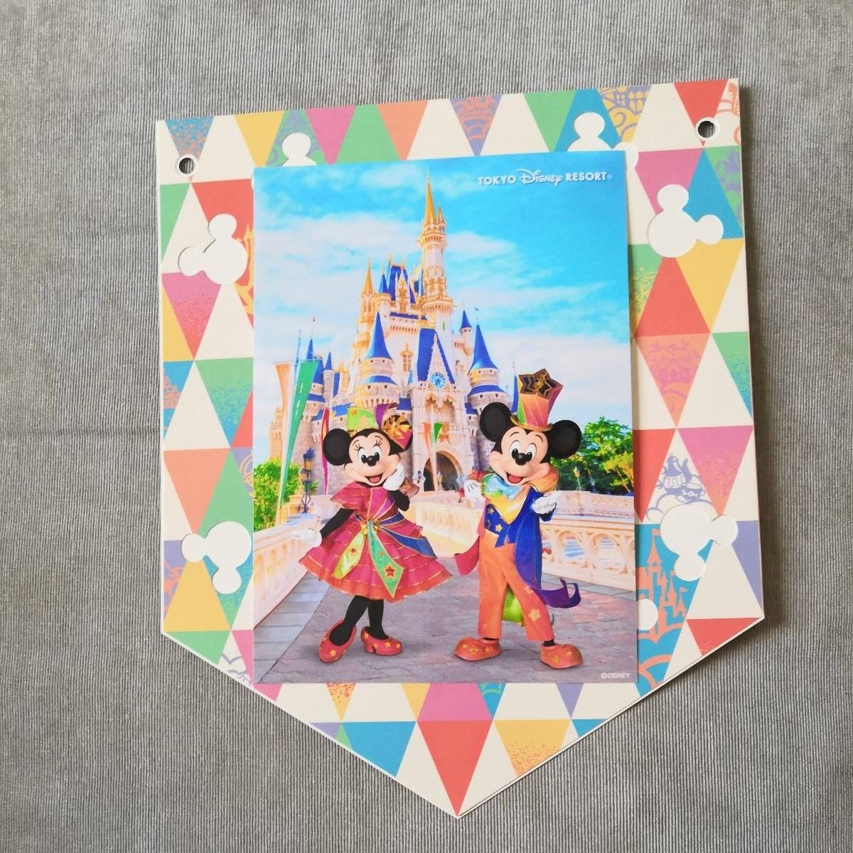 【送料無料】ディズニーランド 40周年　バケーションパッケージ限定　ミッキー　ミニー フォトファン TDL 写真 ハーモニー