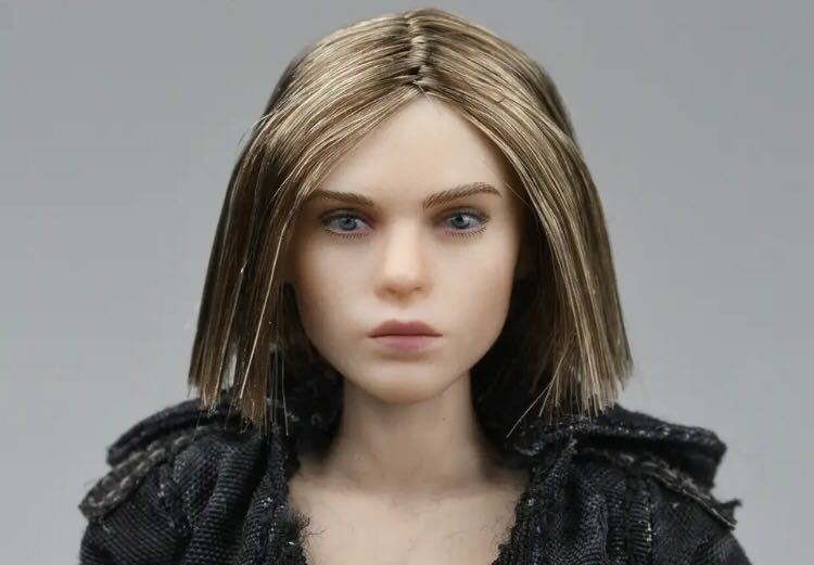 1/6女性フィギュア　フィギュアヘッド　12インチ　ヨーロッパ系美少女モデル　セクシーガール　植毛ヘアースカルプ　リアルな顔
