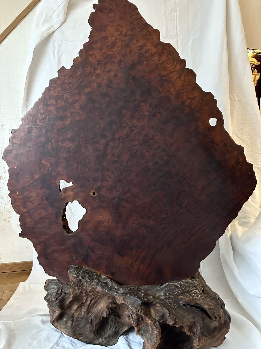 玉杢 巨大 一枚板 高さ138 幅99cm 検索) 欅 花梨 葡萄 敷板 唐木 瘤