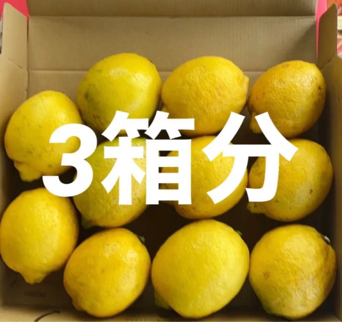 国産瀬戸田レモン農薬不使用3箱分 通販